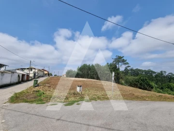 Terreno para Venda em São Martinho do Bispo e Ribeira de Frades