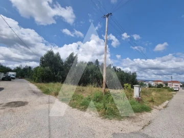 Terreno para Venda em São Martinho do Bispo e Ribeira de Frades
