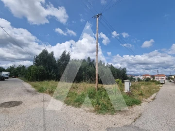 Terreno para Venda em São Martinho do Bispo e Ribeira de Frades