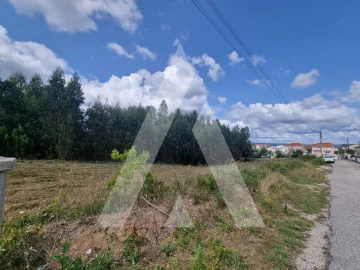 Terreno para Venda em São Martinho do Bispo e Ribeira de Frades