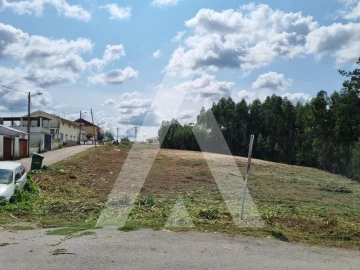 Terreno para Venda em São Martinho do Bispo e Ribeira de Frades