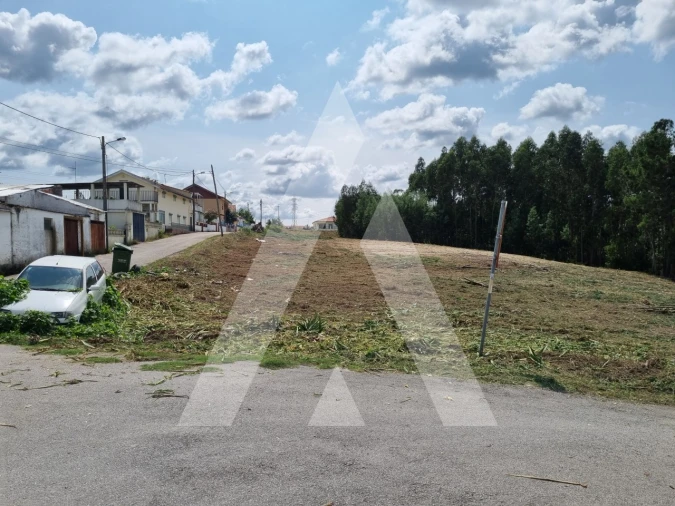 Terreno para Venda em São Martinho do Bispo e Ribeira de Frades Foto 7
