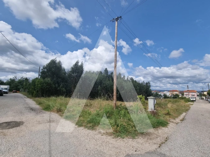 Terreno para Venda em São Martinho do Bispo e Ribeira de Frades Foto 10