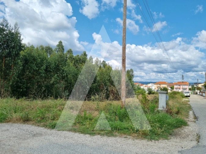 Terreno para Venda em São Martinho do Bispo e Ribeira de Frades Foto 11