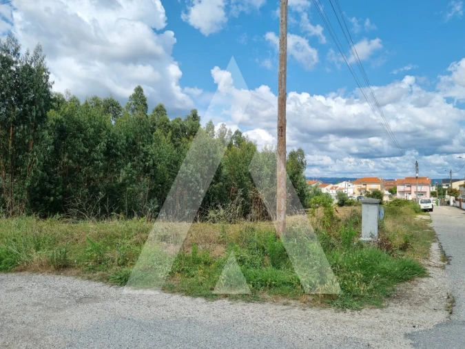 Terreno para Venda em São Martinho do Bispo e Ribeira de Frades Foto 13