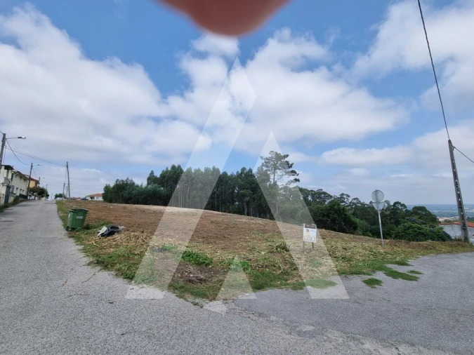 Terreno para Venda em São Martinho do Bispo e Ribeira de Frades Foto 15
