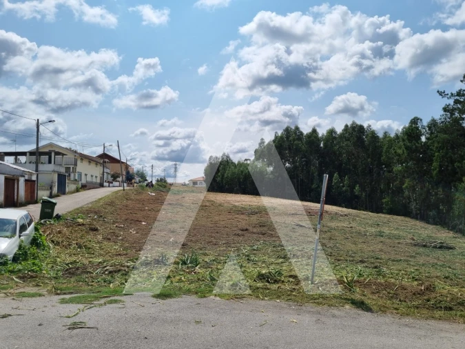 Terreno para Venda em São Martinho do Bispo e Ribeira de Frades Foto 18