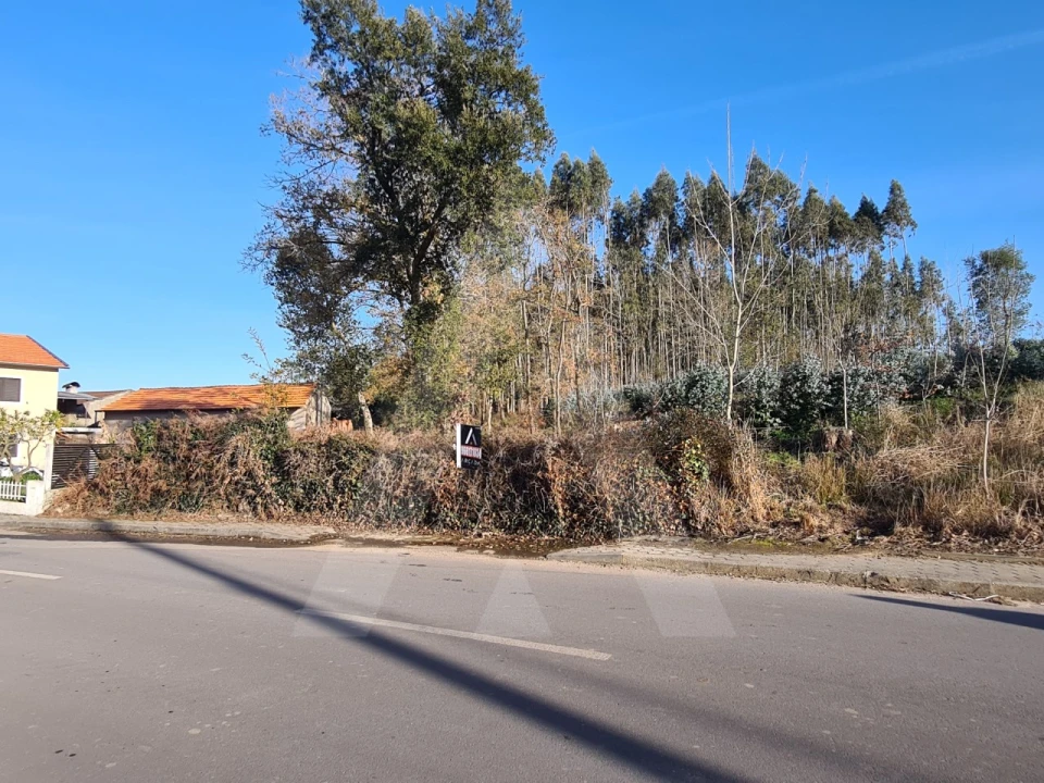 Terreno para Venda em Travassô e Óis da Ribeira Foto 1