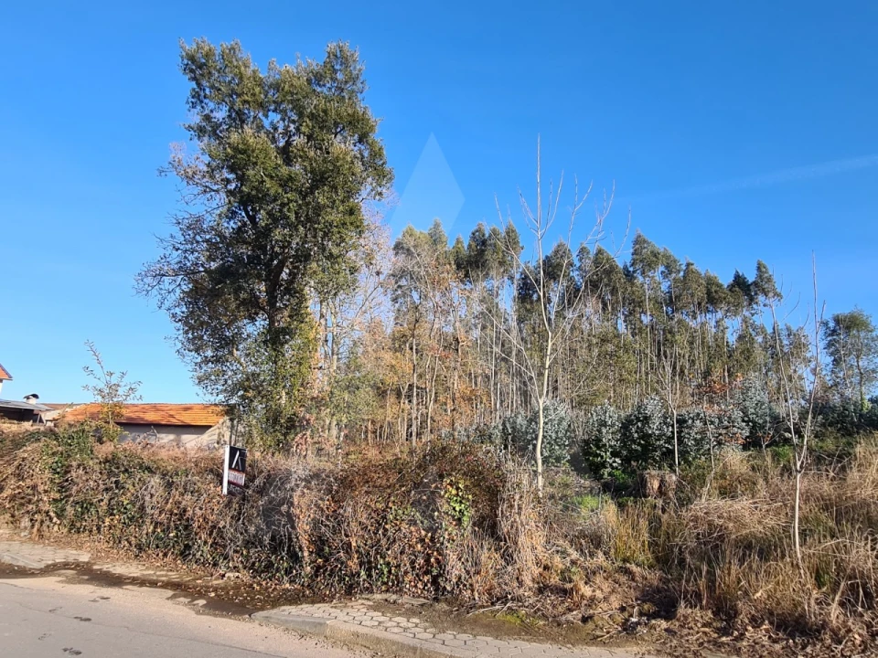Terreno para Venda em Travassô e Óis da Ribeira Foto 2