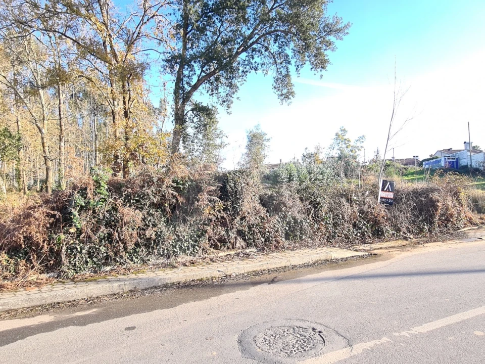Terreno para Venda em Travassô e Óis da Ribeira Foto 5