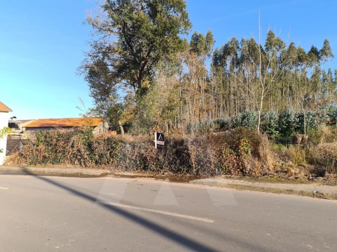 Terreno para Venda em Travassô e Óis da Ribeira Foto 4