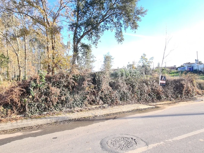 Terreno para Venda em Travassô e Óis da Ribeira Foto 5