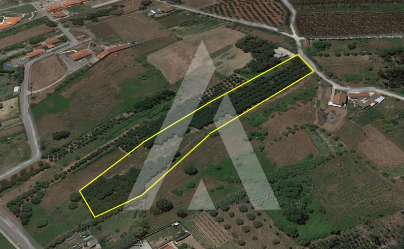 Terreno para Venda em Batalha Foto 2