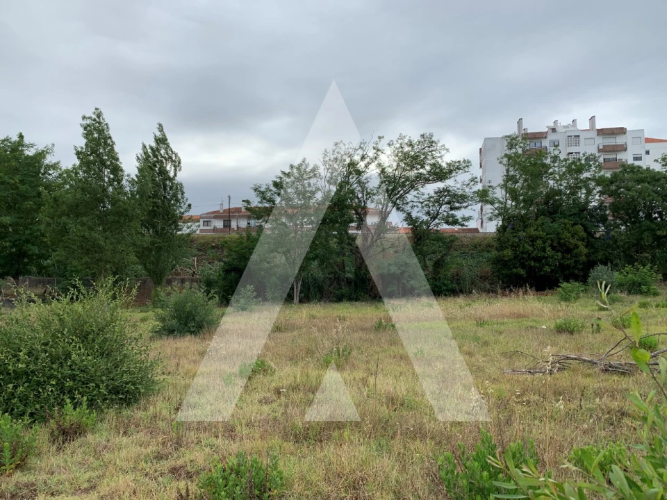 Terreno para Venda em Caldas da Rainha - Santo Onofre e Serra do Bouro Foto 18