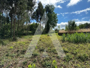 Terreno para Venda em Bustos, Troviscal e Mamarrosa