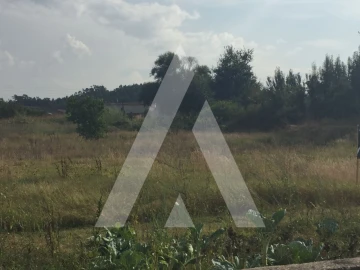 Terreno para Venda em Oliveira do Bairro