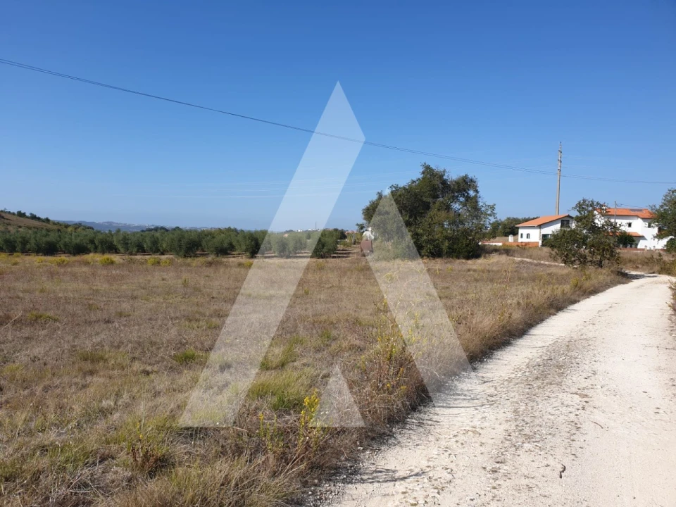 Terreno para Venda em Batalha Foto 3