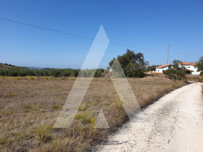 Terreno para Venda em Batalha Foto 3