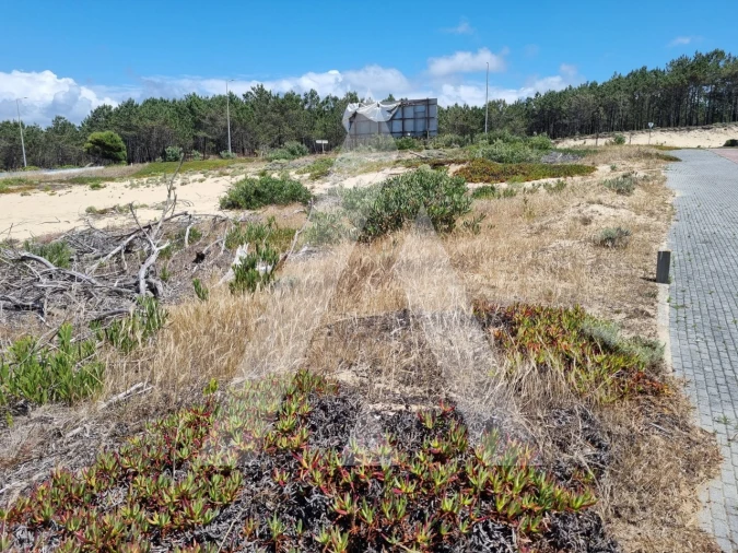 Terreno para Venda em Pataias e Martingança Foto 10