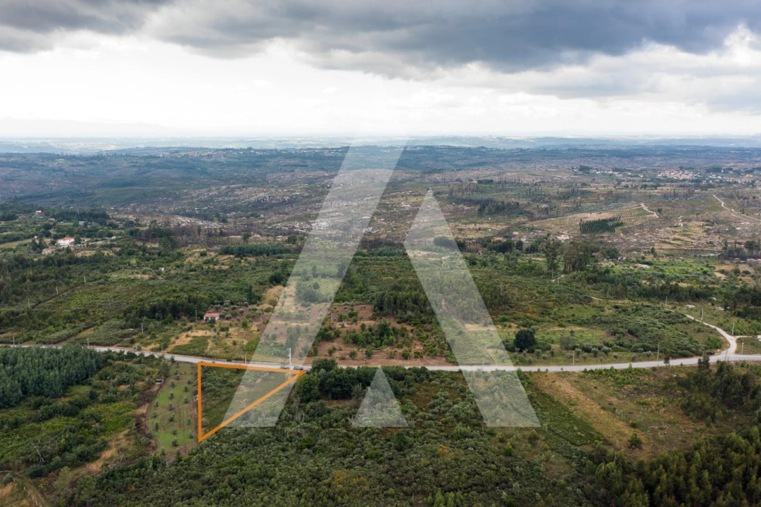 Terreno para Venda em Lagares Foto 5