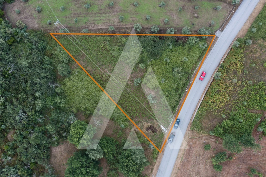 Terreno para Venda em Lagares Foto 7