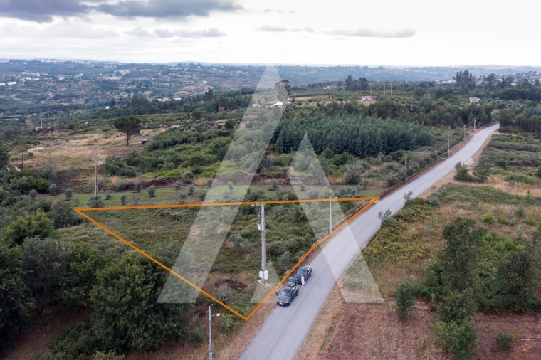 Terreno para Venda em Lagares Foto 1