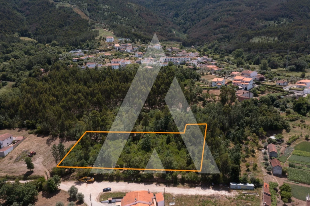 Terreno para Venda em Lousã e Vilarinho Foto 3