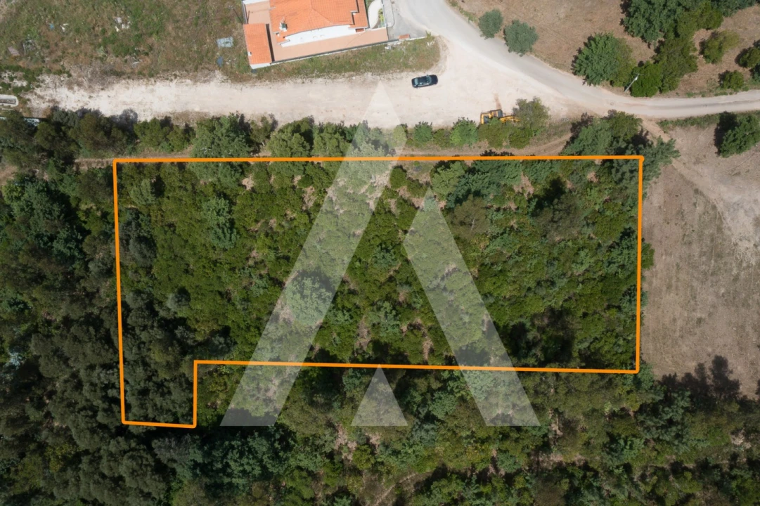 Terreno para Venda em Lousã e Vilarinho Foto 7