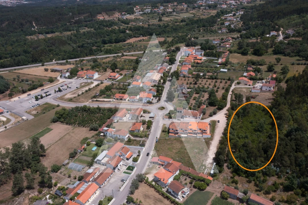 Terreno para Venda em Lousã e Vilarinho Foto 8