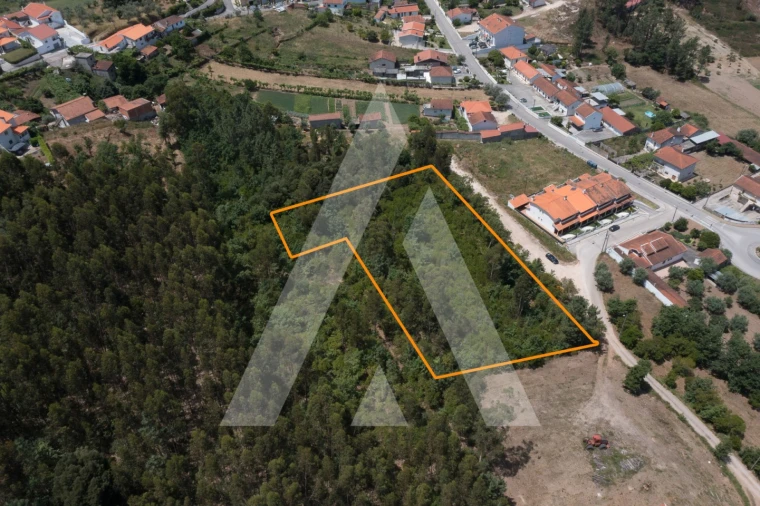 Terreno para Venda em Lousã e Vilarinho Foto 6