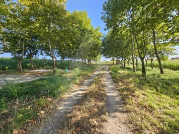 Terreno para Venda em Ílhavo (São Salvador)