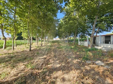 Terreno para Venda em Ílhavo (São Salvador)