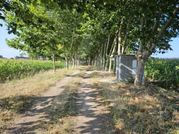 Terreno para Venda em Ílhavo (São Salvador)