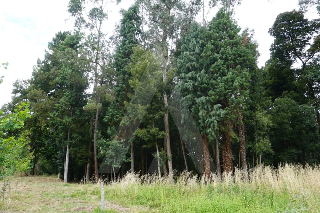 Terreno para Venda em Eixo e Eirol Foto 7