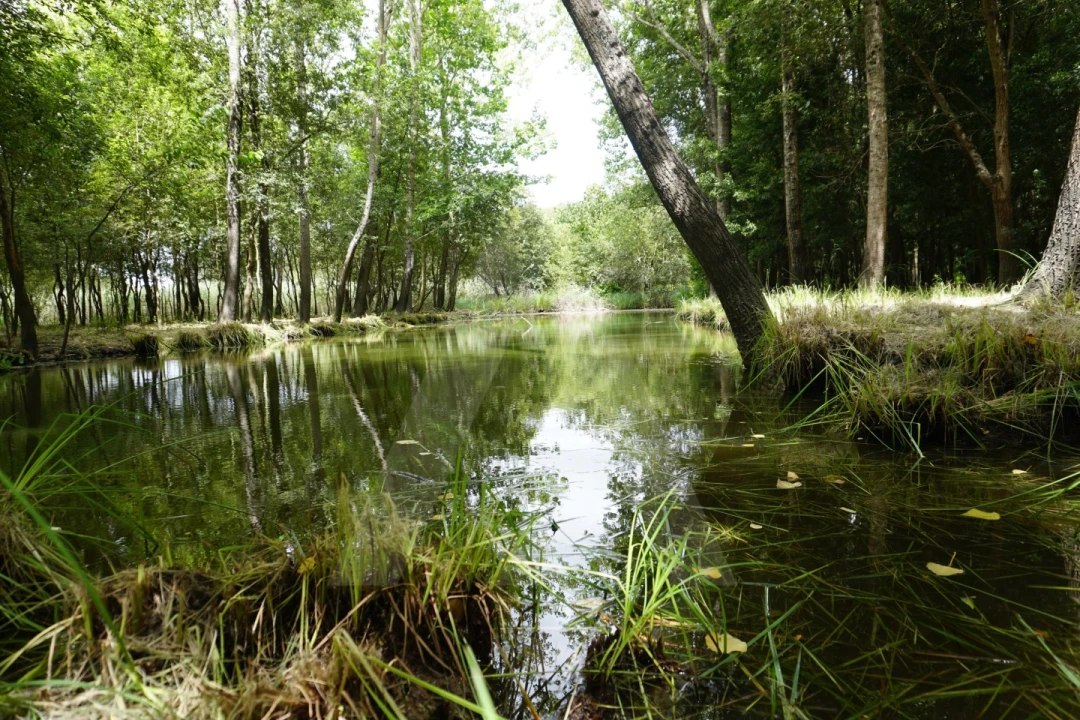 Terreno para Venda em Eixo e Eirol Foto 1