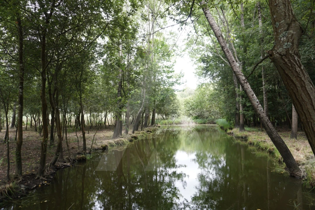 Terreno para Venda em Eixo e Eirol Foto 12