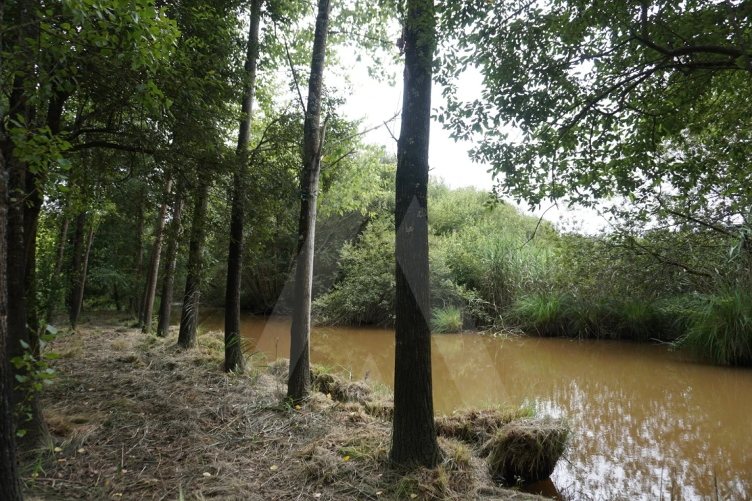 Terreno para Venda em Eixo e Eirol Foto 13