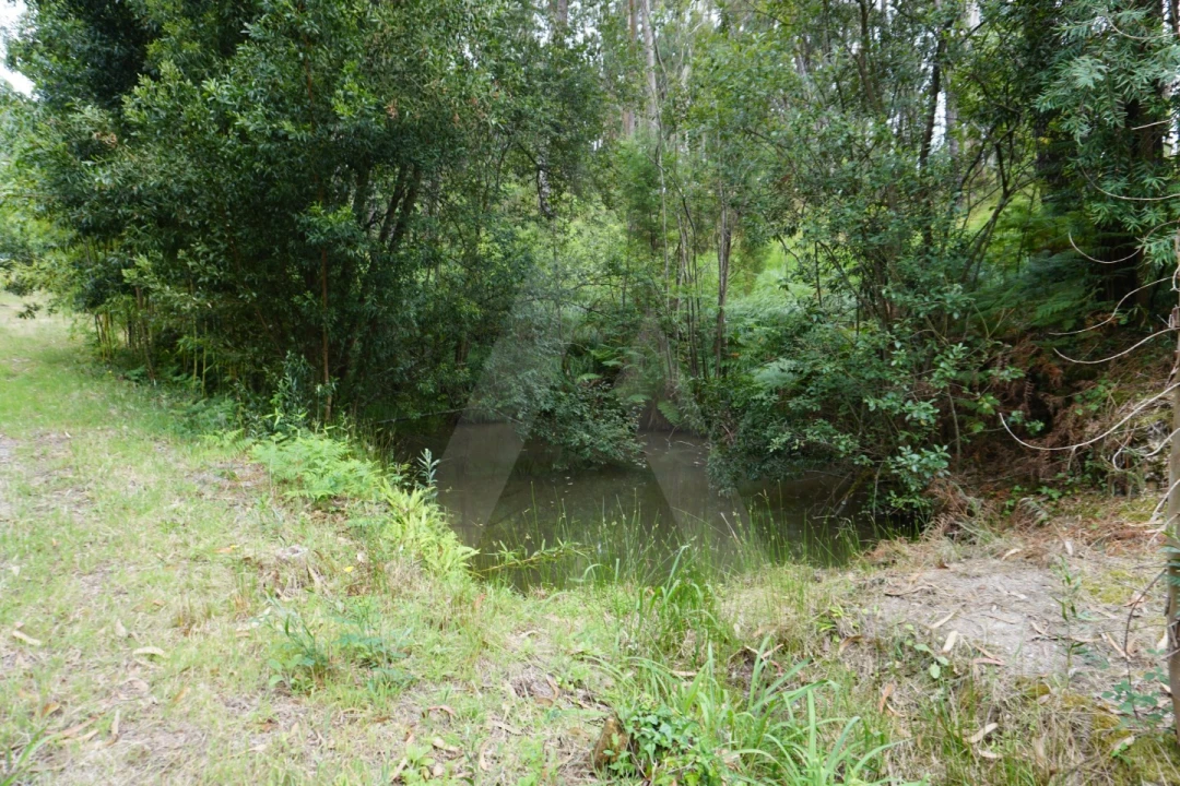 Terreno para Venda em Eixo e Eirol Foto 22
