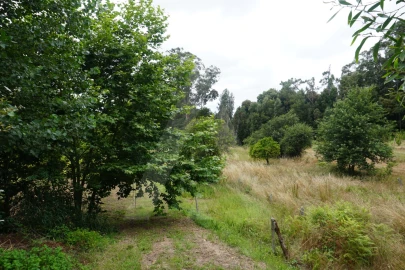 Terreno para Venda em Eixo e Eirol