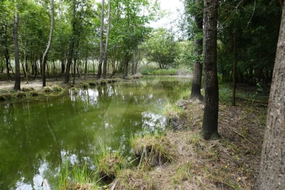 Terreno para Venda em Eixo e Eirol