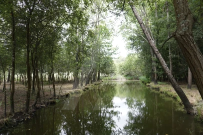 Terreno para Venda em Eixo e Eirol