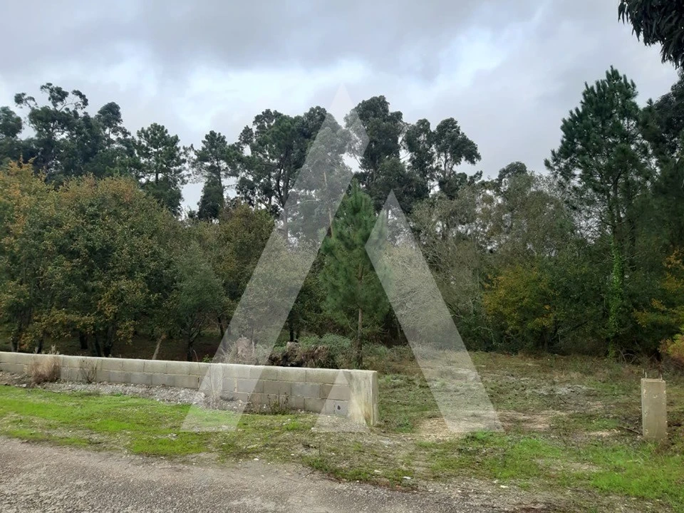 Terreno para Venda em Requeixo, Nossa Senhora de Fátima e Nariz Foto 1