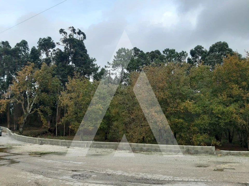 Terreno para Venda em Requeixo, Nossa Senhora de Fátima e Nariz Foto 3