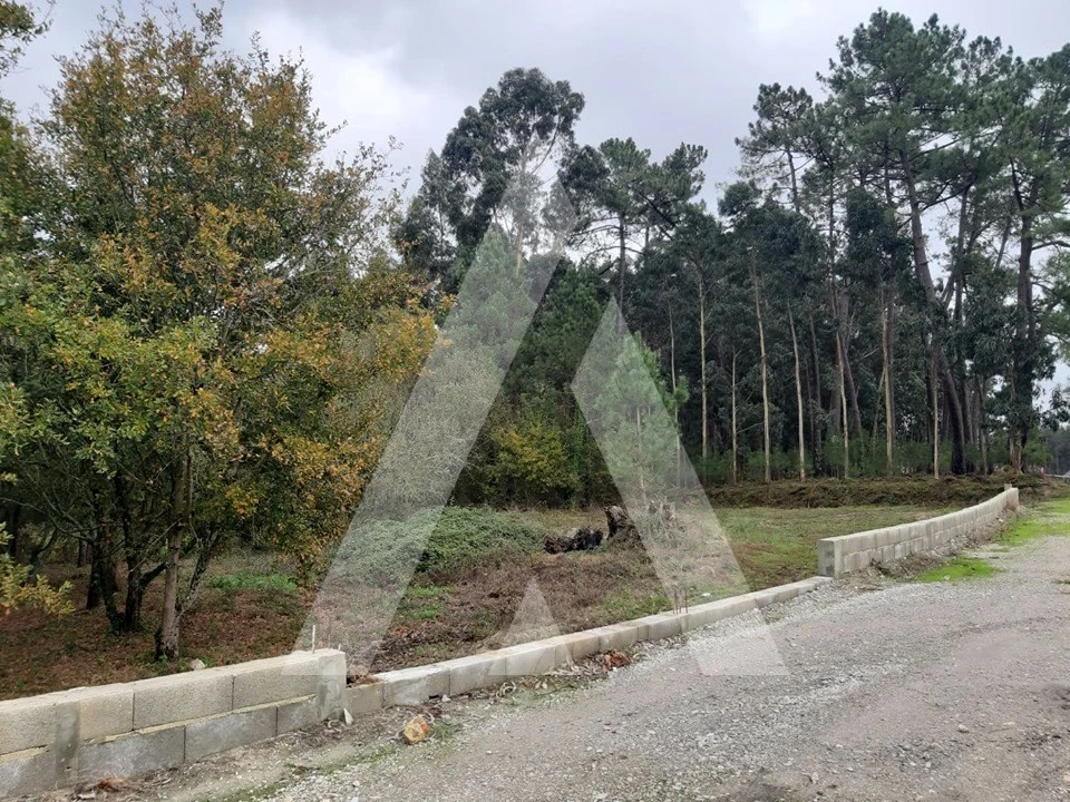 Terreno para Venda em Requeixo, Nossa Senhora de Fátima e Nariz Foto 4