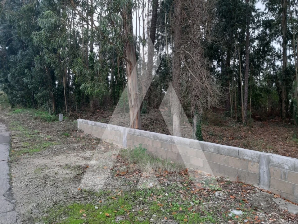 Terreno para Venda em Requeixo, Nossa Senhora de Fátima e Nariz Foto 5