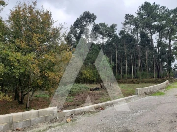 Terreno para Venda em Requeixo, Nossa Senhora de Fátima e Nariz