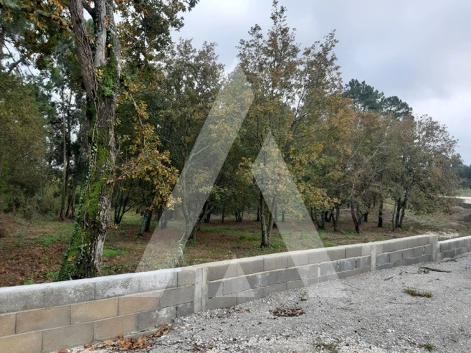 Terreno para Venda em Requeixo, Nossa Senhora de Fátima e Nariz Foto 2