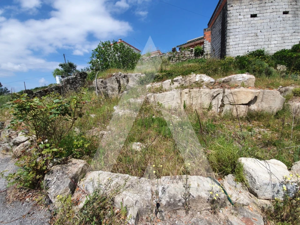 Terreno para Venda em Santos Evos Foto 4