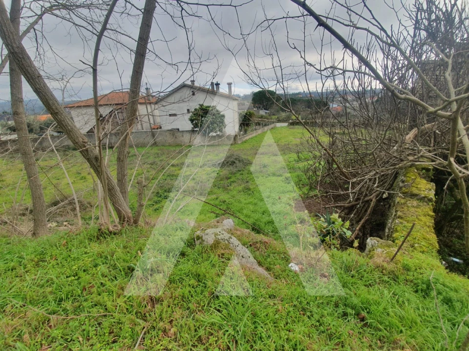 Terreno para Venda em Mangualde, Mesquitela e Cunha Alta Foto 11