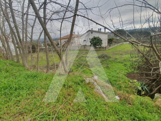 Terreno para Venda em Mangualde, Mesquitela e Cunha Alta Foto 10